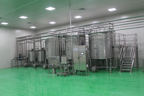 Production of unrefined mint oil